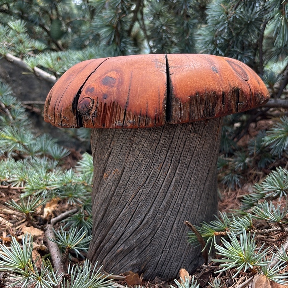 Vintage Spancraft Company Handcrafted Wood Mushroom Box